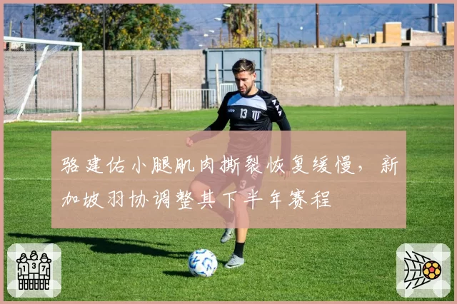 骆建佑小腿肌肉撕裂恢复缓慢，新加坡羽协调整其下半年赛程