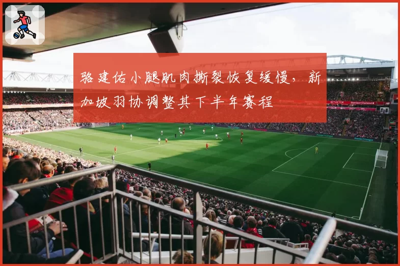 骆建佑小腿肌肉撕裂恢复缓慢，新加坡羽协调整其下半年赛程